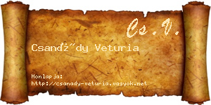Csanády Veturia névjegykártya